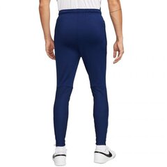 Meeste püksid Nike Therma-Fit Strike Pant Kwpz Winter Warrior M DC9159 492, sinine hind ja info | Meeste püksid | kaup24.ee