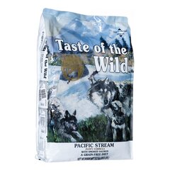 Taste Of The Wild для собак с лососем, 12,2 кг цена и информация | Сухой корм для собак | kaup24.ee