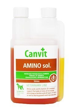 Vitamiinikompleks kassidele ja koertele Canvit Amino Sol., 250 ml hind ja info | Toidulisandid ja parasiitide vastased tooted | kaup24.ee