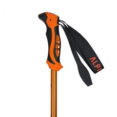 Matkakepid Alpinus Monte Rosa NX43599, oranž/must цена и информация | Палки для ходьбы | kaup24.ee