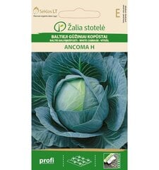 Капуста Ancoma H, 30 семян цена и информация | Семена овощей, ягод | kaup24.ee