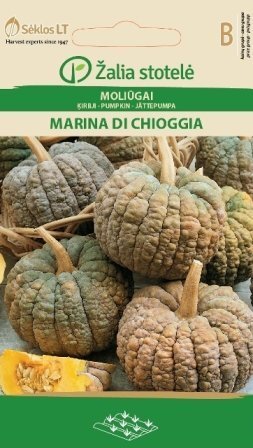 Kõrvitsaseemned Marina di Chioggia 1,5g hind ja info | Köögivilja-, marjaseemned | kaup24.ee