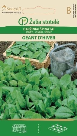Spinat Geant D'Hiver hind ja info | Köögivilja-, marjaseemned | kaup24.ee