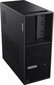 Lenovo ThinkStation P3 Tower 30GS003NMT цена и информация | Lauaarvutid | kaup24.ee