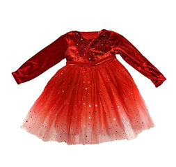 Kleit tüdrukule, punane hind ja info | Tüdrukute kleidid | kaup24.ee
