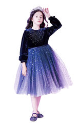 Kleit tüdrukule, sinine цена и информация | Платья для девочек | kaup24.ee