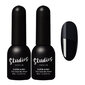 Pealislakkide komplekt Set Top Coat Studios Didier, Super Shiny, 2 tk hind ja info | Küünelakid, küünetugevdajad | kaup24.ee