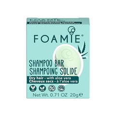 Tahke šampoon kuivadele juustele Shampoo Bar Travel Size, 20 g цена и информация | Шампуни | kaup24.ee