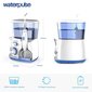 Waterpulse Family V300 hind ja info | Hambavahede puhastajad | kaup24.ee