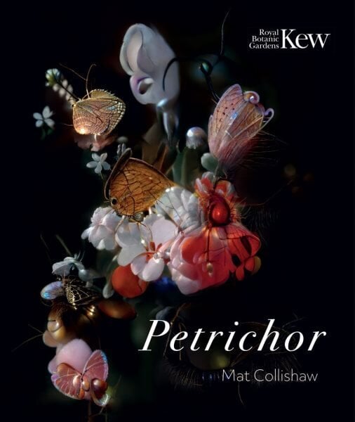 Petrichor hind ja info | Kunstiraamatud | kaup24.ee