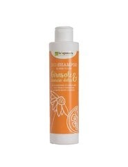 Šampoon päevalillede ja magusa apelsiniga Bio Lasaponaria, 200 ml цена и информация | Шампуни | kaup24.ee