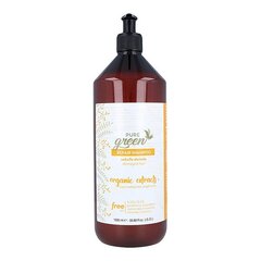 Šampoon Pure Green Repair Shampoo, 1000 ml hind ja info | Šampoonid | kaup24.ee