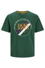 T-särk meestele Jack & Jones, roheline цена и информация | Мужские футболки | kaup24.ee