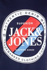 T-särk meestele Jack & Jones, sinine hind ja info | Meeste T-särgid | kaup24.ee