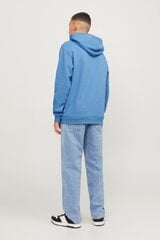 Спортивный свитер JACK & JONES 12249340PACIFICCOAST-M цена и информация | Мужские толстовки | kaup24.ee