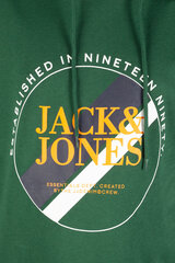 Džemper meestele Jack & Jones, roheline hind ja info | Meeste pusad | kaup24.ee