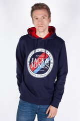 Džemper meestele Jack & Jones, sinine hind ja info | Meeste pusad | kaup24.ee