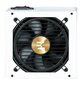 Zalman TeraMax2 750W hind ja info | Toiteplokid (PSU) | kaup24.ee