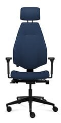 Офисное кресло Tronhill Gabri Executive цена и информация | Офисные кресла | kaup24.ee