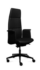 Офисное кресло Tronhill Luna Executive цена и информация | Офисные кресла | kaup24.ee