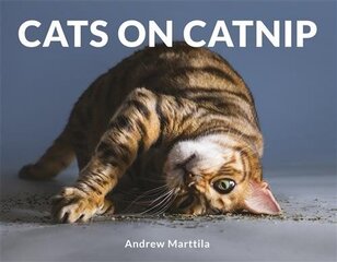 Cats on Catnip цена и информация | Книги о питании и здоровом образе жизни | kaup24.ee