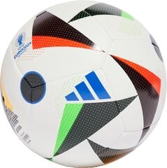 Футбольный тренировочный мяч Adidas Euro24 IN9366 цена и информация | Adidas Планшетные компьютеры, электронные книги | kaup24.ee