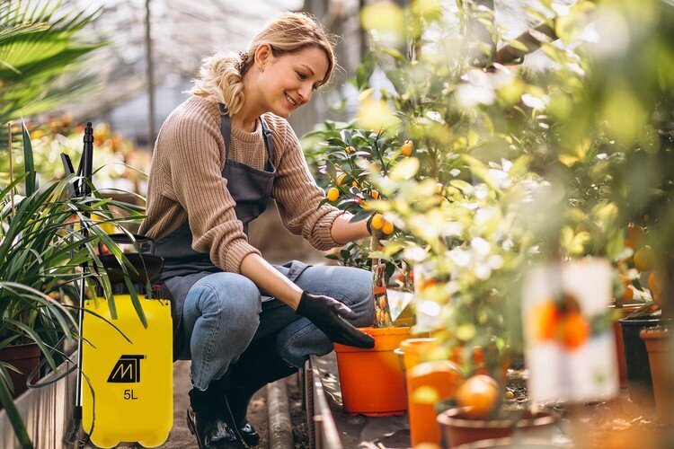 Survepihusti StoreXO, 5L hind ja info | Kastekannud, voolikud, niisutus | kaup24.ee