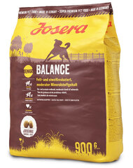 Josera Dog Balance vanematele koertele, 5x900 g цена и информация | Сухой корм для собак | kaup24.ee