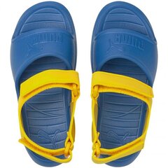 Puma Sandaalid poistele, sinine hind ja info | Laste sandaalid | kaup24.ee