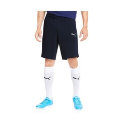 Puma lühikesed püksid meestele Goal 23 Casuals M 656581-06, sinine hind ja info | Meeste lühikesed püksid | kaup24.ee