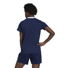 Adidas T-särk meestele, sinine hind ja info | Naiste T-särgid | kaup24.ee