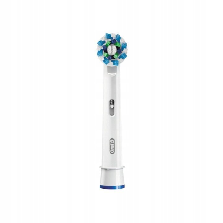 Oral-B 100 hind ja info | Elektrilised hambaharjad | kaup24.ee