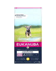 Eukanuba Puppy Grain Free S/M kanaga väikest ja keskmist tõugu koertele, 3 kg цена и информация | Сухой корм для собак | kaup24.ee