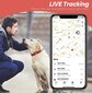 Silikoonist Airtag-hoidik GPS-jälgija jaoks, roosa helendav pimedas цена и информация | Kaelarihmad ja traksid koertele | kaup24.ee