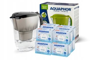 Veefilter kann Aquaphor Jasper 2,8 l +8 filtrit цена и информация | Фильтры для воды | kaup24.ee