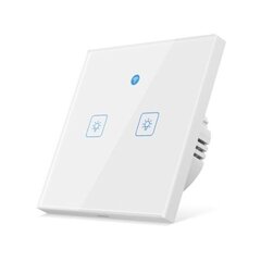 3-клавишный интеллектуальный настенный сенсорный переключатель Woolley Wi-Fi eWeLink со встроенным радарным датчиком движения (белый) цена и информация | Выключатели, розетки | kaup24.ee