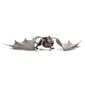 3D pusle Metal Earth Drogon hind ja info | Klotsid ja konstruktorid | kaup24.ee