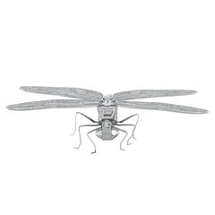 3D pusle Metal Earth Dragonfly hind ja info | Klotsid ja konstruktorid | kaup24.ee