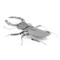 3D pusle Metal Earth Stag Beetle цена и информация | Klotsid ja konstruktorid | kaup24.ee