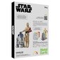 3D pusle Metal Earth Star Wars R2-D2 & C-3PO hind ja info | Klotsid ja konstruktorid | kaup24.ee