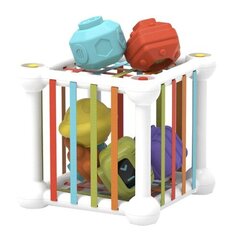 Сенсорный сортировщик кубиков цена и информация | Игрушки для малышей | kaup24.ee