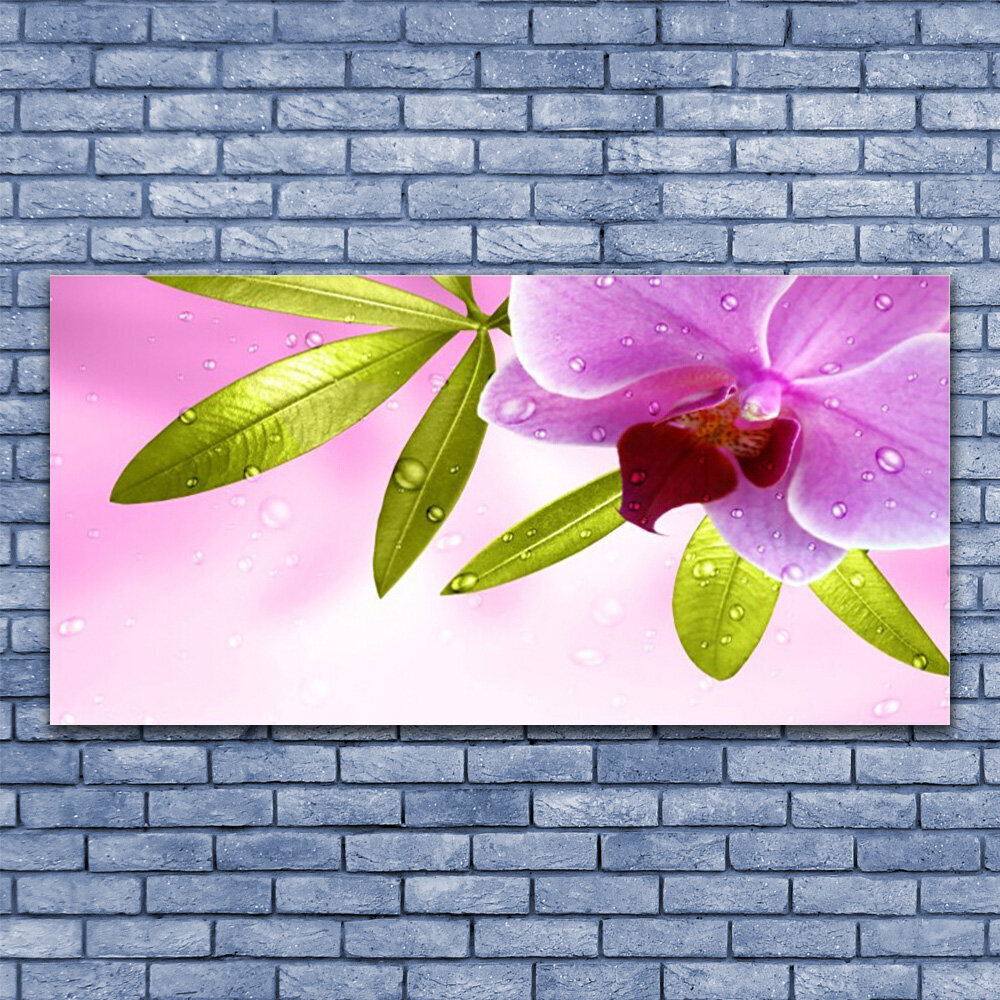 Seinapilt Orhidee hind ja info | Seinapildid | kaup24.ee