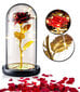 Igavene roos LED valgusega, punane kuld цена и информация | Uinuvad roosid, taimed | kaup24.ee