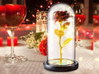 Igavene roos LED valgusega, punane kuld hind ja info | Uinuvad roosid, taimed | kaup24.ee
