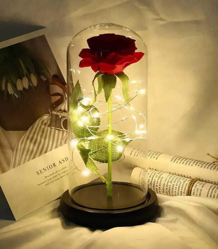 Igavene roos LED valgusega, punane цена и информация | Uinuvad roosid, taimed | kaup24.ee