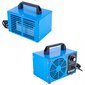 Osooni generaator HSA-01 hind ja info | Õhupuhastajad | kaup24.ee