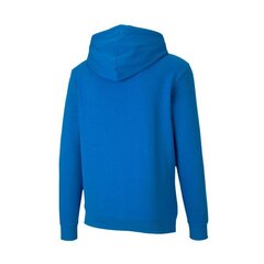 Meeste dressipluus Puma TeamGoal 23 Casuals 656580-02, sinine цена и информация | Мужские толстовки | kaup24.ee