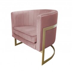 Tugitool Glamour Decorates, roosa цена и информация | Кресла в гостиную | kaup24.ee