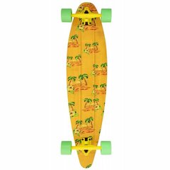 Longboard Dstreet Oasis, 130cm цена и информация | Скейтборды | kaup24.ee