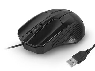 LTC LXM204 PC Mouse цена и информация | Мыши | kaup24.ee